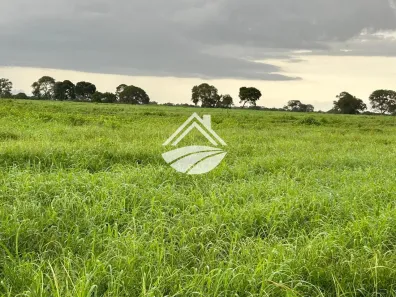 Fazenda/Sítio à venda, 7690000m² no , Araguaçu