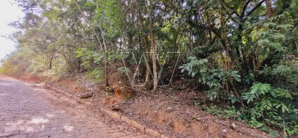 Fazenda/Sítio com 1 Quarto à venda, 20227m² no Sousas, Campinas