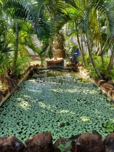 Fazenda/Sítio com 2 Quartos à venda, 5000m² no Chácaras Recreio Planalto, Sertãozinho