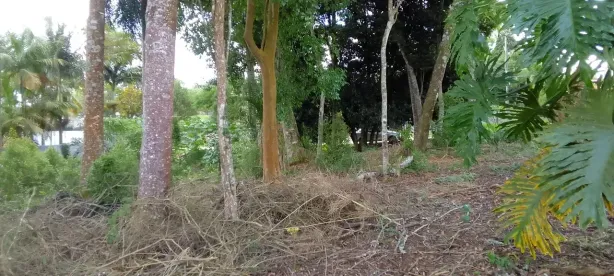 Lote/Terreno à venda, 800m² no Jardim San Ressore (Caucaia do Alto), Cotia