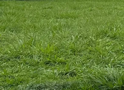 Lote/Terreno à venda, 360m² no Jardim Nova Aliança Sul, Ribeirão Preto