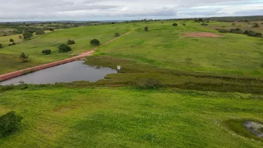 Fazenda/Sítio com 2 Quartos à venda, 320000m² no , Monte Alegre