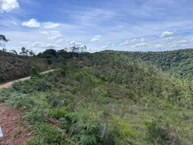 Lote/Terreno à venda, 10000m² no Centro, São Lourenço da Serra