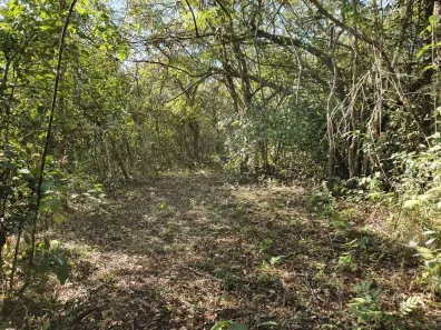 Lote/Terreno à venda, 9437m² no Shopping Park, Uberlândia