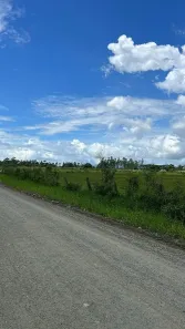Lote/Terreno à venda, 10000m² no Sertão de Santa Luzia, Porto Belo