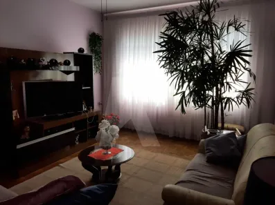 Sobrado com 5 Quartos à venda, 271m² no Vila Maria Alta, São Paulo