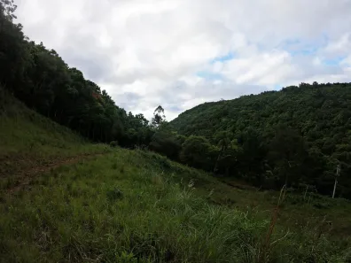 Lote/Terreno à venda, 30000m² no Linha Ávila, Gramado