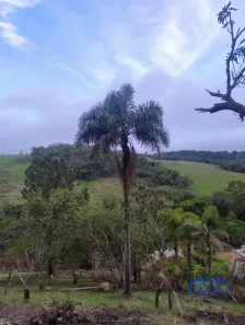 Fazenda/Sítio com 1 Quarto à venda, 5000m² no Área Rural de São Roque, São Roque