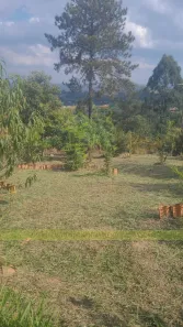 Lote/Terreno à venda, 1606m² no Chácaras de Recreio da Fazenda Estância São Paulo, Jarinu