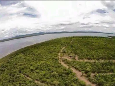 Fazenda/Sítio com 3 Quartos à venda, 20000m² no , Peixe