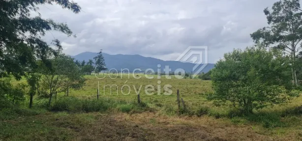 Fazenda/Sítio à venda, 72400m² no Santa Luzia, Porto Belo
