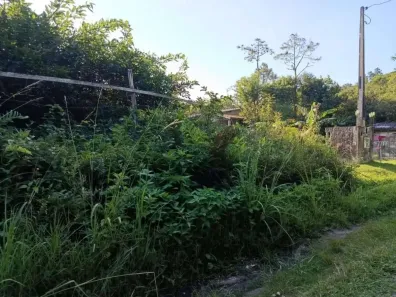 Lote/Terreno à venda, 126m² no Gaivota (Interior), Itanhaém