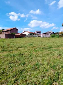 Fazenda/Sítio à venda, 10000m² no Chácara Moura Leite, Cerqueira César