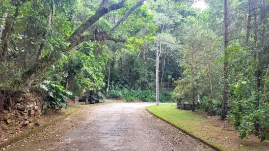 Lote/Terreno à venda, 1200m² no Caraguatá, Mairiporã
