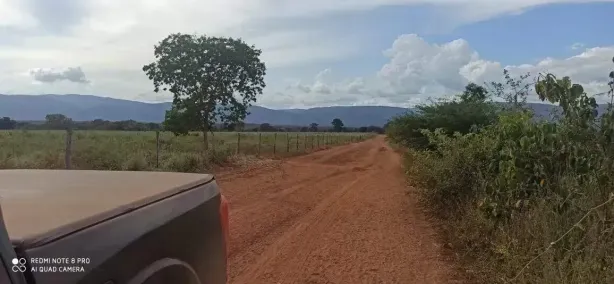 Fazenda/Sítio à venda, 84m² no Flores de Goiás, Flores de Goiás