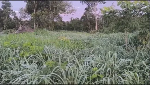 Fazenda/Sítio com 2 Quartos à venda, 90m² no Área Rural de Cuiabá, Cuiabá