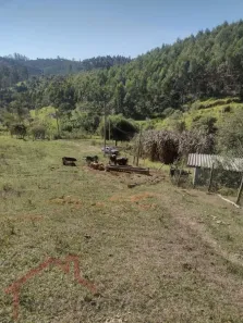 Fazenda/Sítio à venda, 60500m² no Salesópolis, Salesópolis