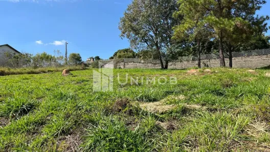 Lote/Terreno à venda, 1158m² no Loteamento Alphaville Campinas, Campinas