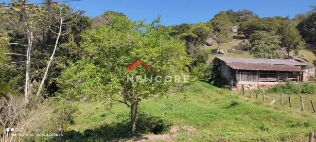 Lote/Terreno à venda, 60000m² no Centro, Imaruí