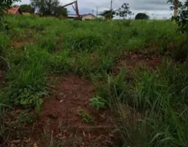 Lote/Terreno à venda, 185m² no Macucos, Getulina