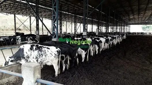 Fazenda/Sítio com 18 Quartos à venda, 356000000m² no , São José do Barreiro