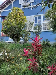 Casa com 2 Quartos para alugar, 70m² no Mosela, Petrópolis