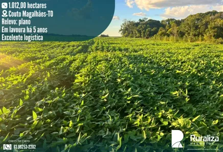 Fazenda/Sítio à venda, 1012m² no , Couto Magalhães