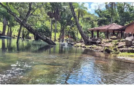 Fazenda/Sítio à venda, 728000m² no Santos Dumont, Redenção