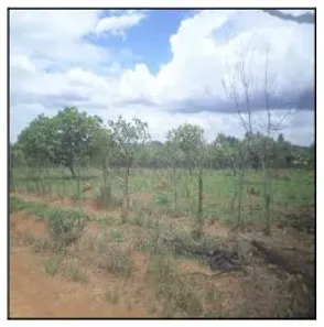 Lote/Terreno à venda, 5000m² no Parque Alvorada II, Luziânia