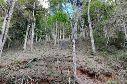 Lote/Terreno à venda, 1550m² no Albuquerque, Teresópolis