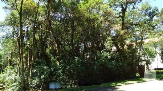Lote/Terreno à venda, 555m² no Área Rural de Canela, Canela
