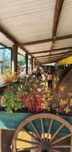 Ponto Comercial à venda, 10000m² no Figueira (Pé da Serra), Ubatuba