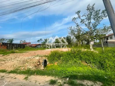 Lote/Terreno à venda, 245m² no Jardim das Gaivotas, Caraguatatuba
