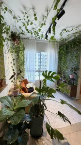 Apartamento com 2 Quartos à venda, 45m² no Bicanga, Serra