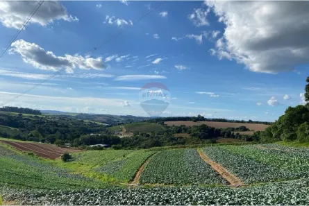 Fazenda/Sítio com 8 Quartos à venda, 150m² no Campinho, Bragança Paulista