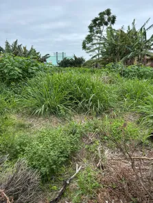 Lote/Terreno à venda, 401m² no Rio Tavares, Florianópolis
