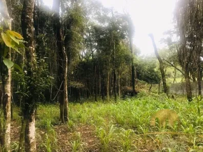 Fazenda/Sítio com 2 Quartos à venda, 62000m² no Portão, Atibaia