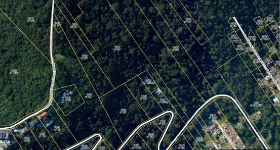 Lote/Terreno à venda, 25257m² no Itacorubi, Florianópolis