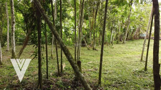 Lote/Terreno à venda, 3066m² no Badenfurt, Blumenau