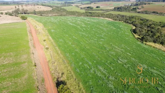 Fazenda/Sítio à venda, 410000000m² no , Triunfo
