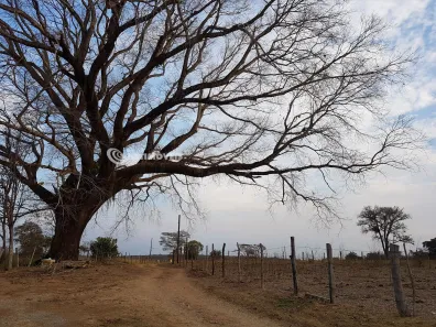 Fazenda/Sítio com 4 Quartos à venda, 40000m² no , Pedro Leopoldo