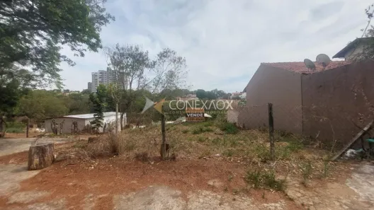 Lote/Terreno à venda, 290m² no Jardim Lumen Christi, Campinas