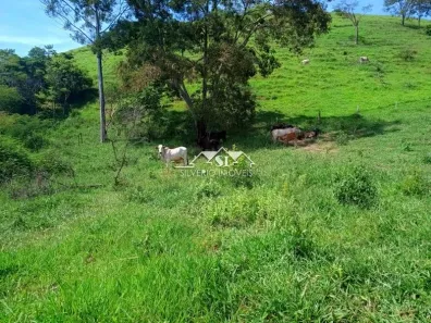 Fazenda/Sítio com 2 Quartos à venda, 90m² no , Paraíba do Sul