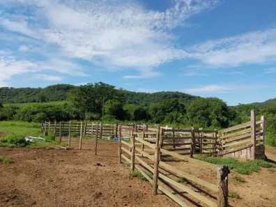Fazenda/Sítio à venda, 3030000m² no , São Gabriel do Oeste
