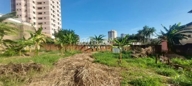 Lote/Terreno para alugar, 1365m² no Jardim Modelo, Piracicaba