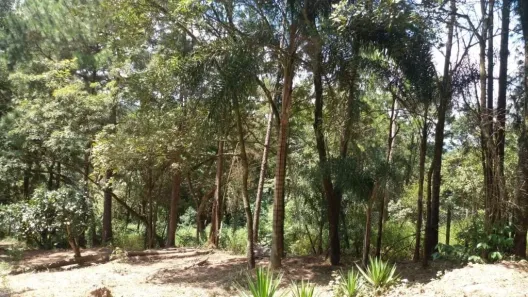 Lote/Terreno à venda, 5000m² no , Araçariguama