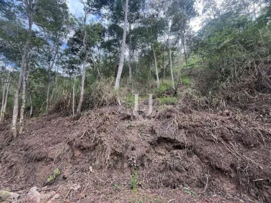 Lote/Terreno à venda, 772m² no Pedro do Rio, Petrópolis