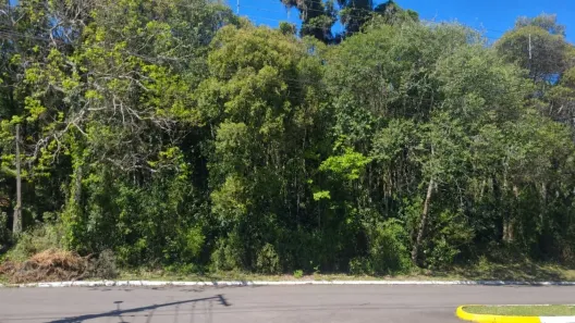 Lote/Terreno à venda, 954m² no Mato Queimado, Gramado