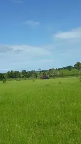 Fazenda/Sítio à venda, 242000m² no Área Rural de Ji-Paraná, Ji-Paraná