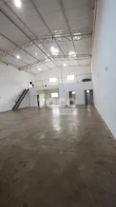 Galpão/Depósito/Armazém para alugar, 250m² no Segismundo Pereira, Uberlândia